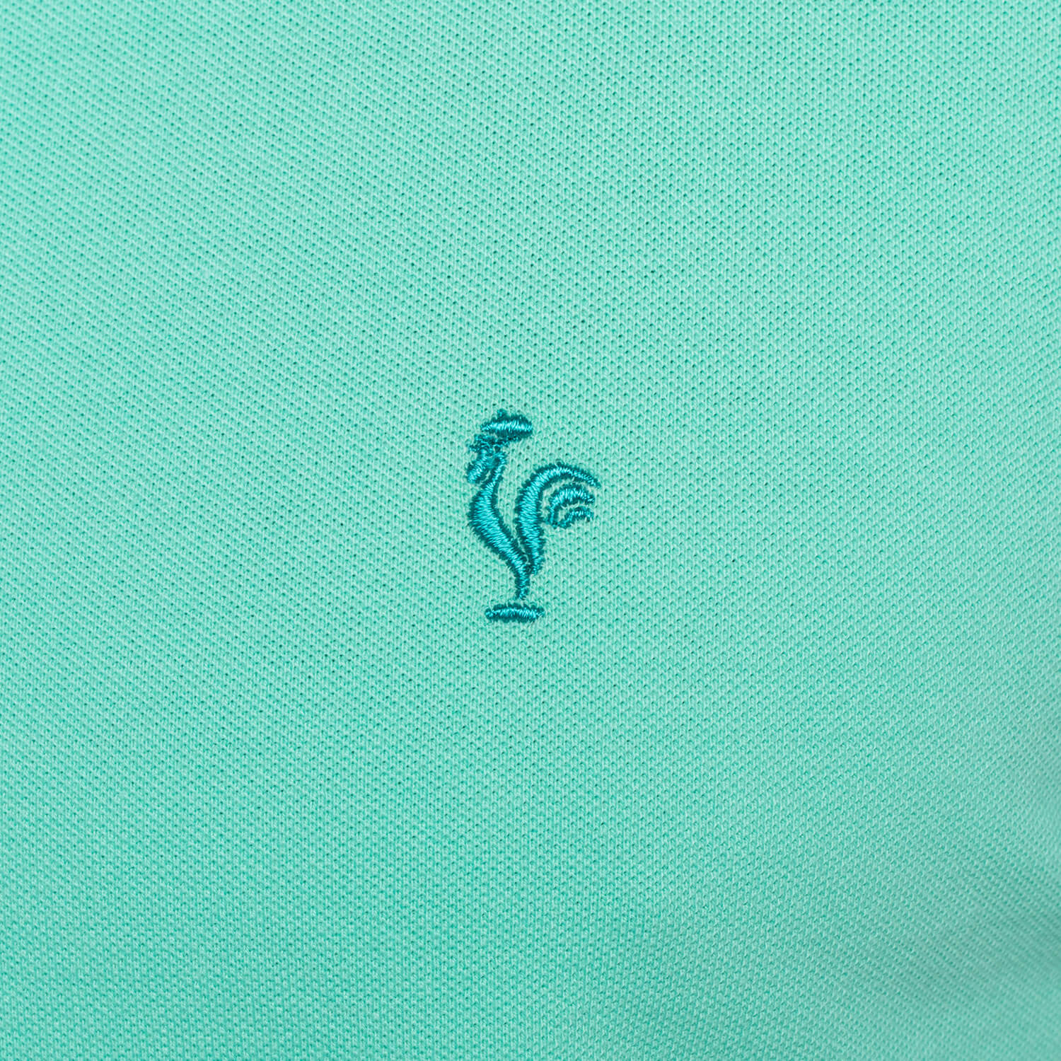 Polo rugby unity