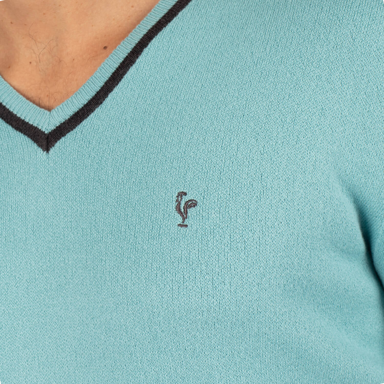 Pull col V coq