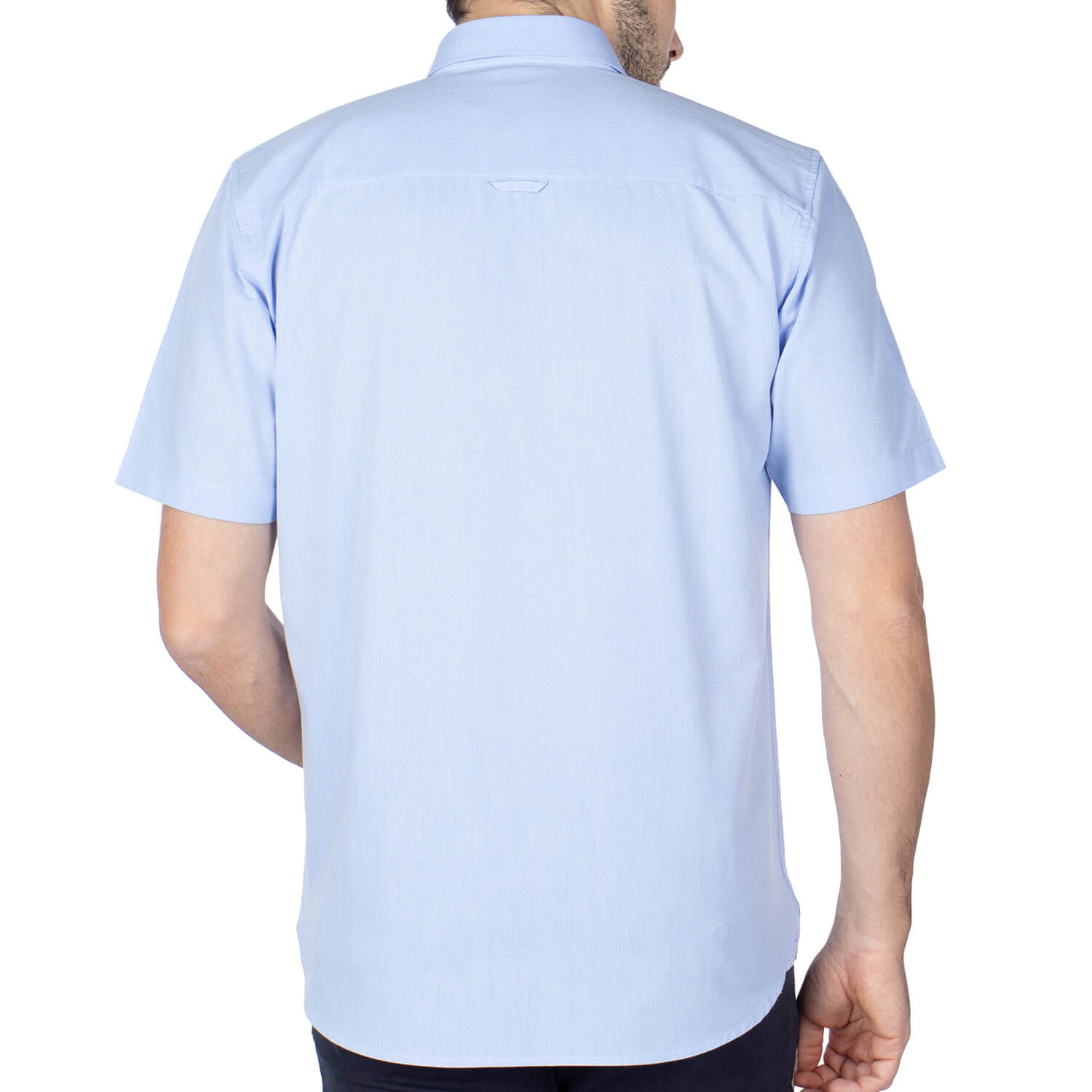 Chemise blason fantaisie