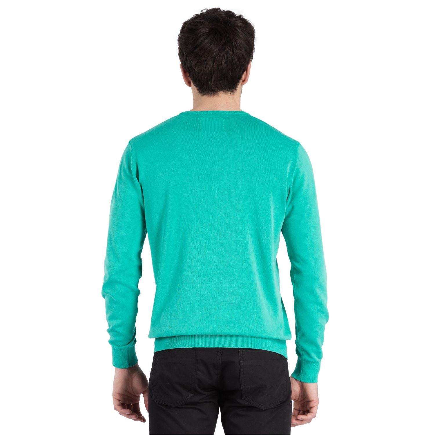Pull col rond Vert - vu de dos - Shilton