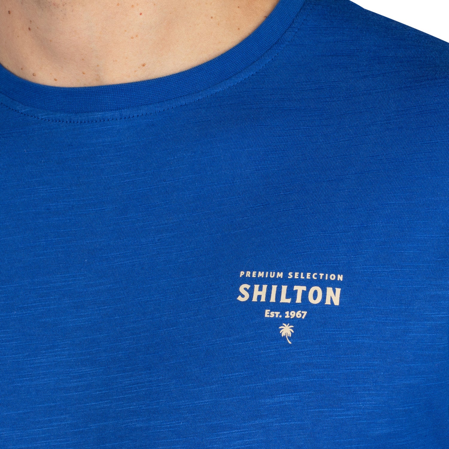 T-shirt city premium