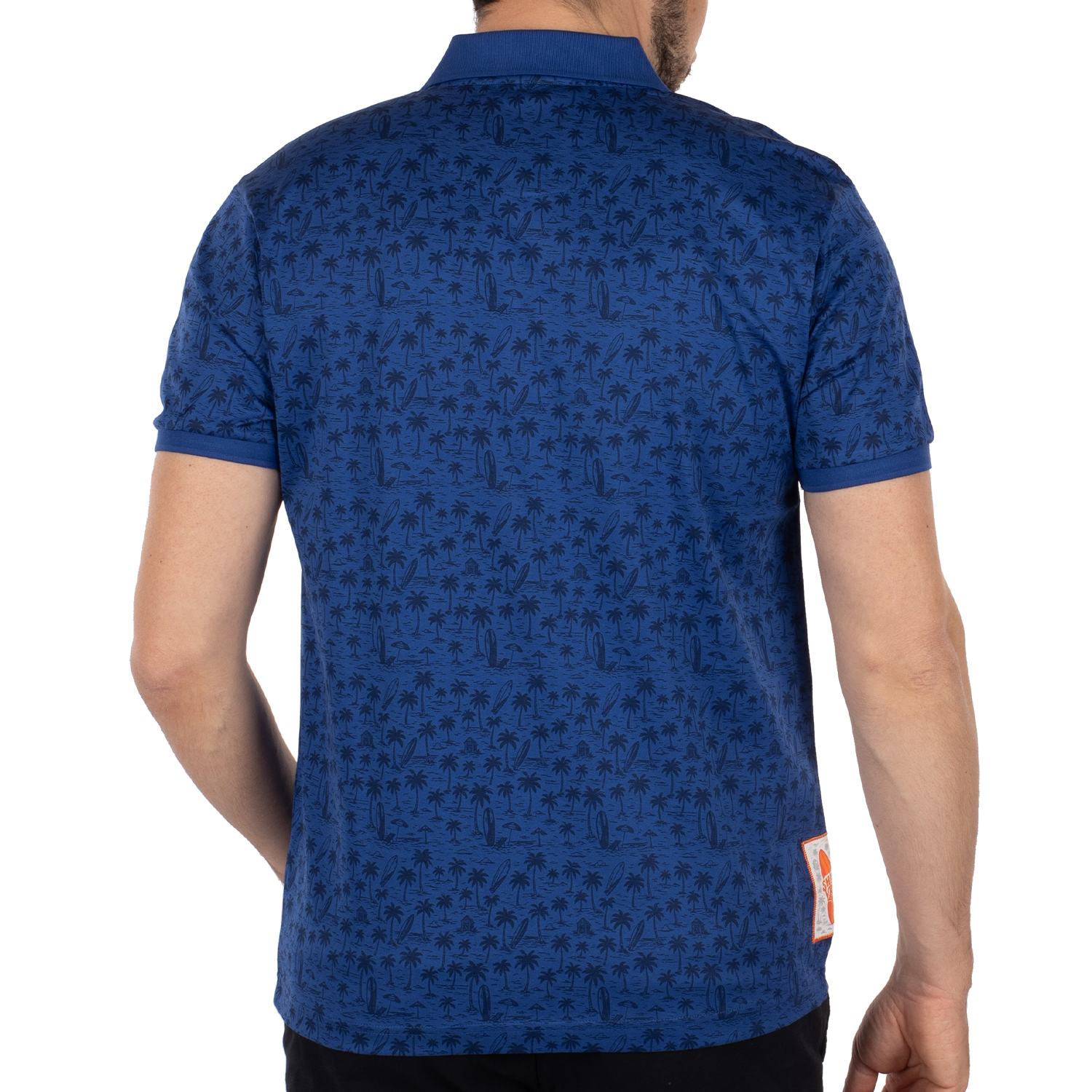 Polo atlantide
