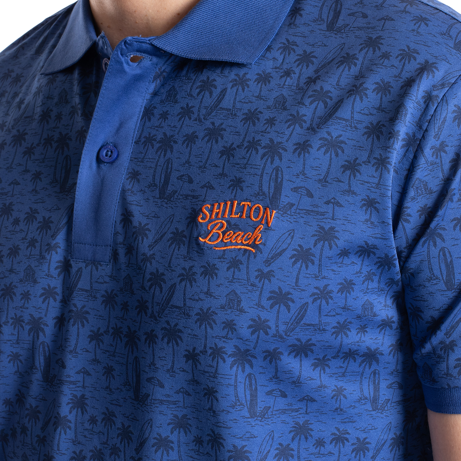 Polo atlantide