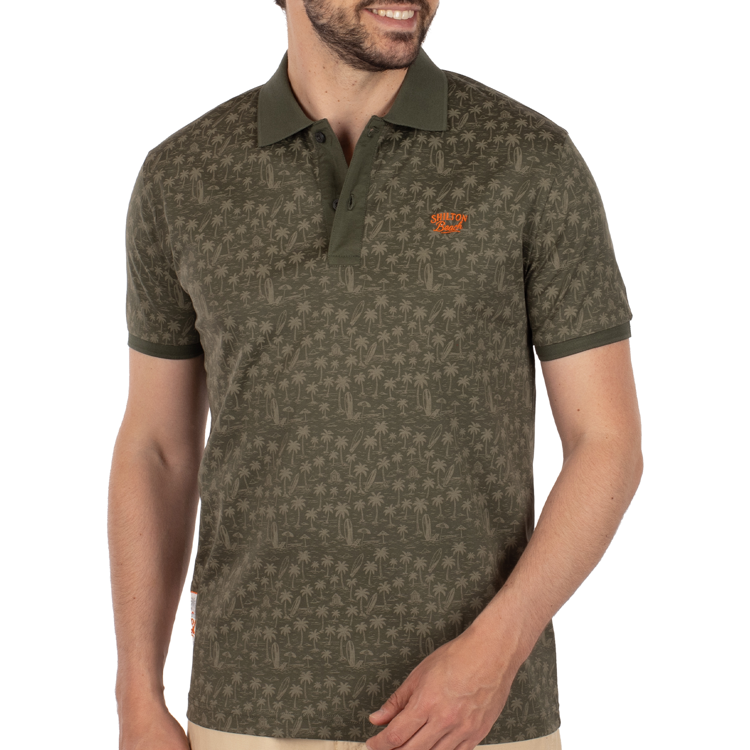 Polo atlantide