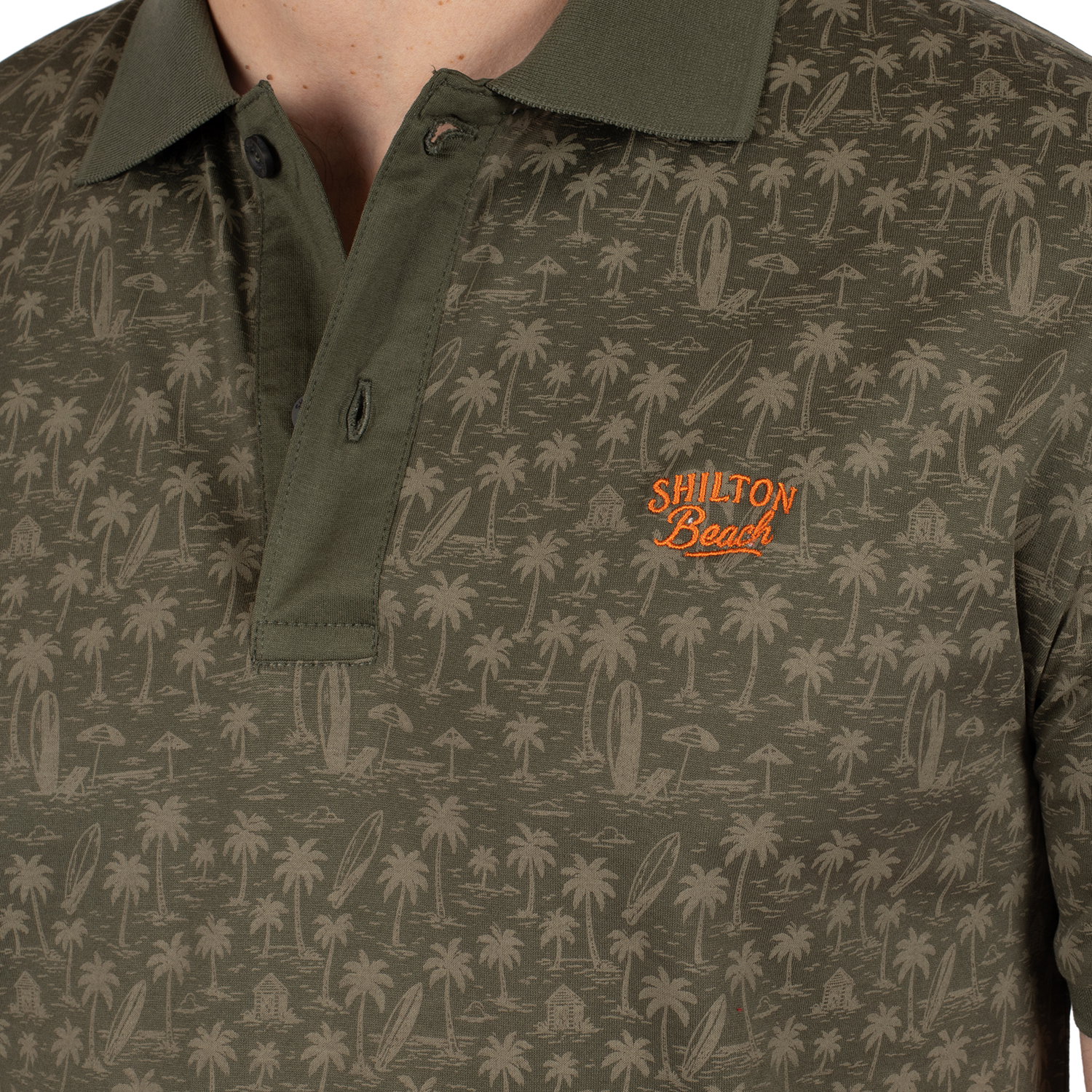 Polo atlantide