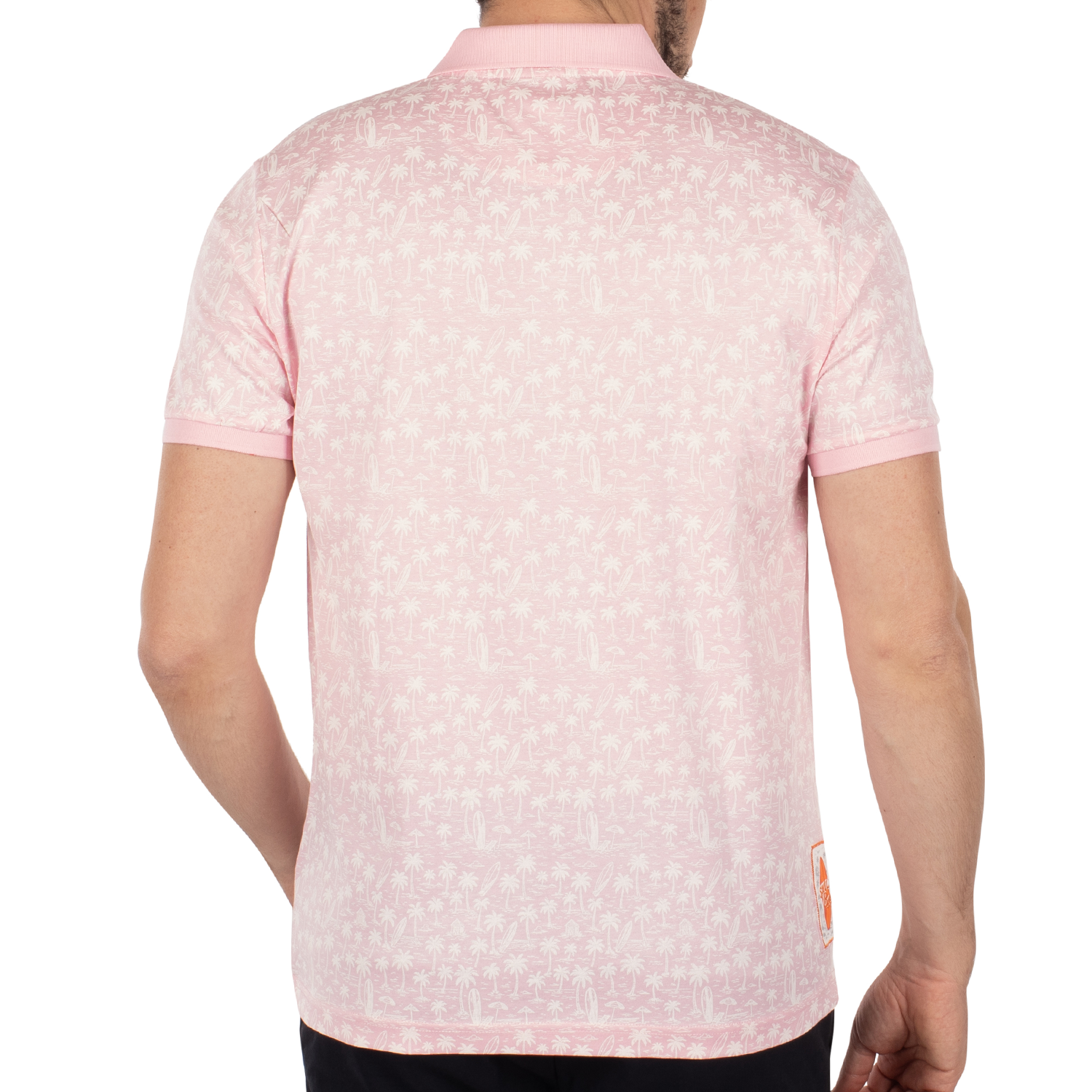 Polo atlantide