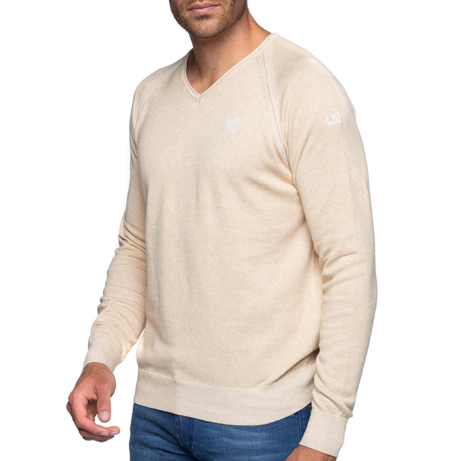 Beige raglan V-neck sweater - Shilton