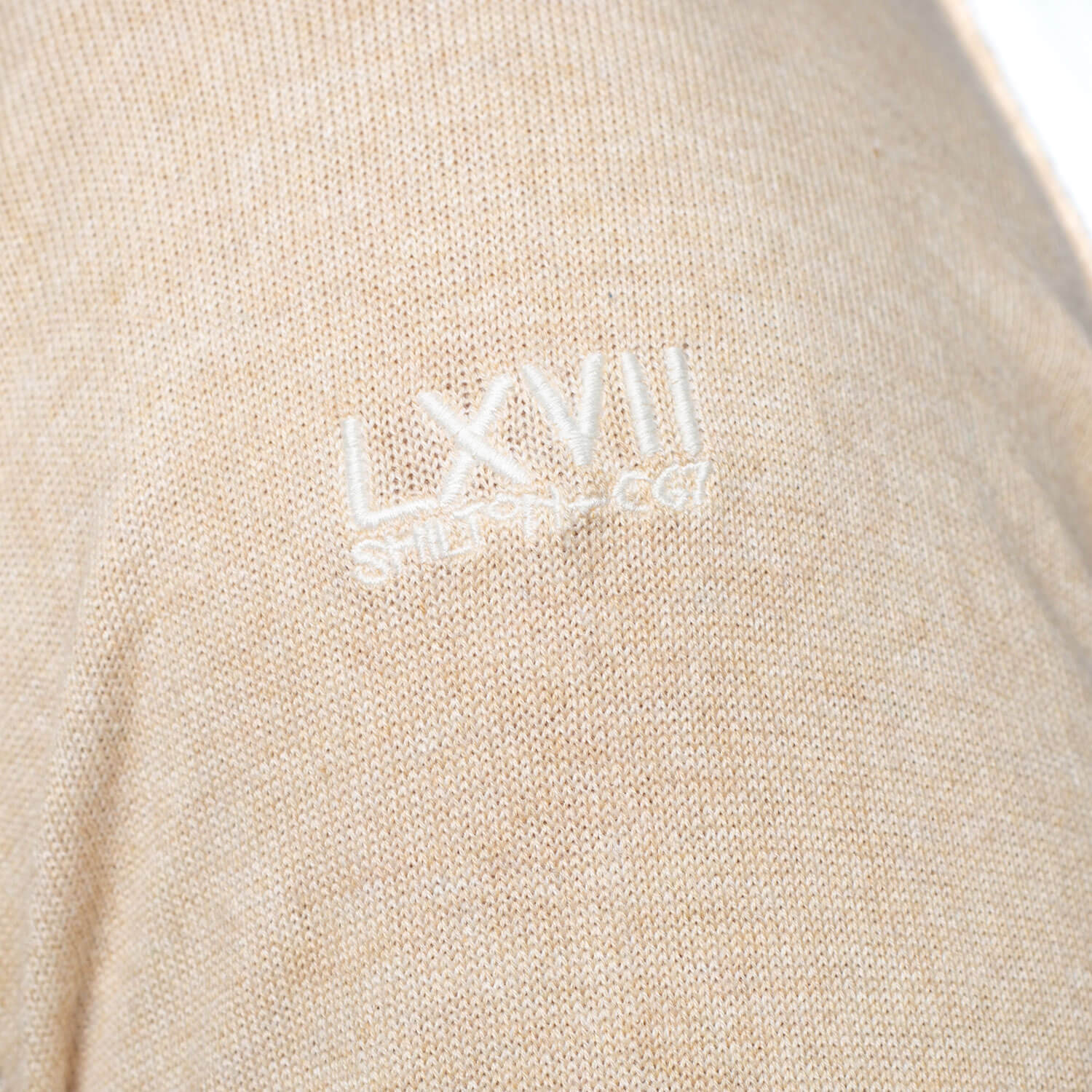 Raglan V-neck sweater