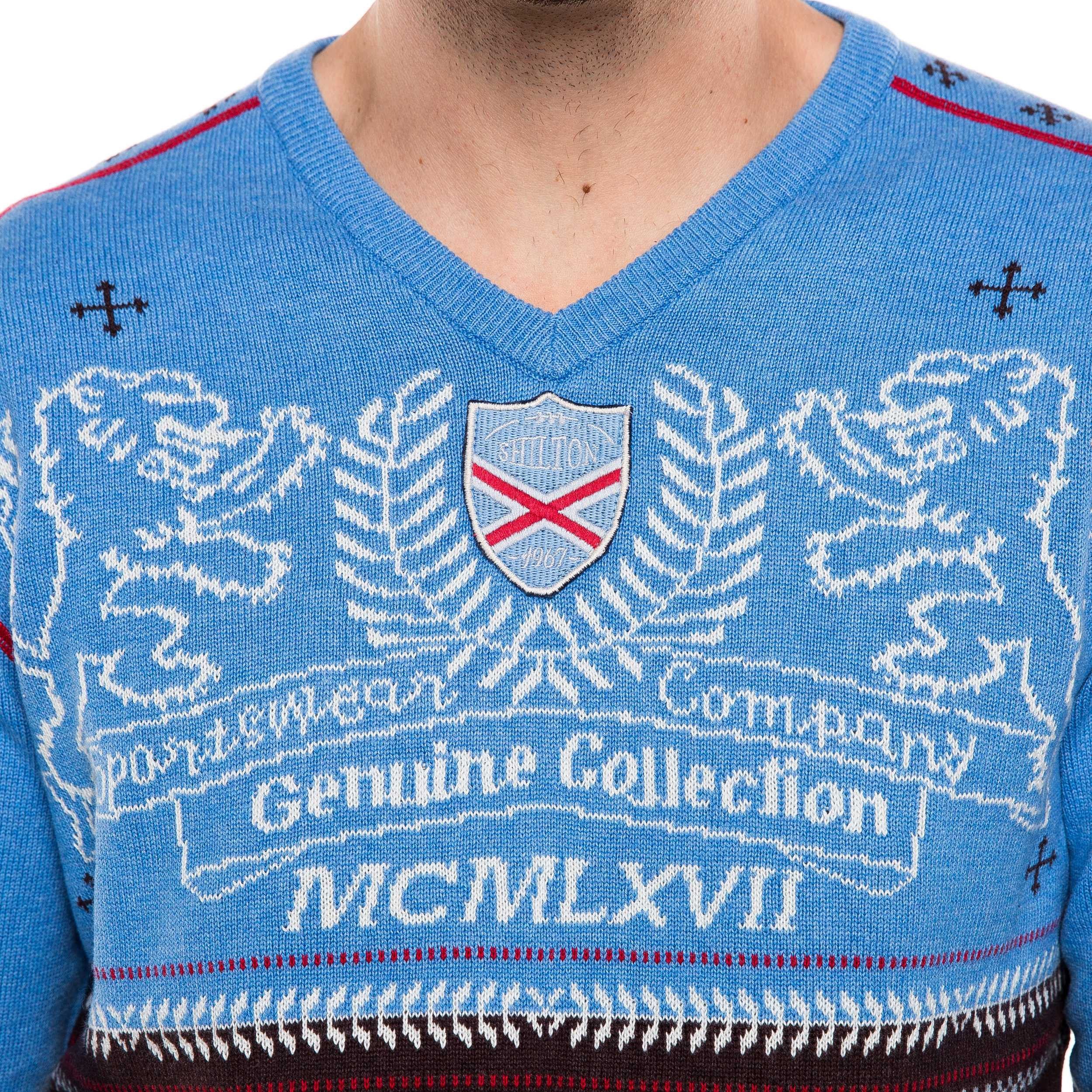 Lions V-neck sweater