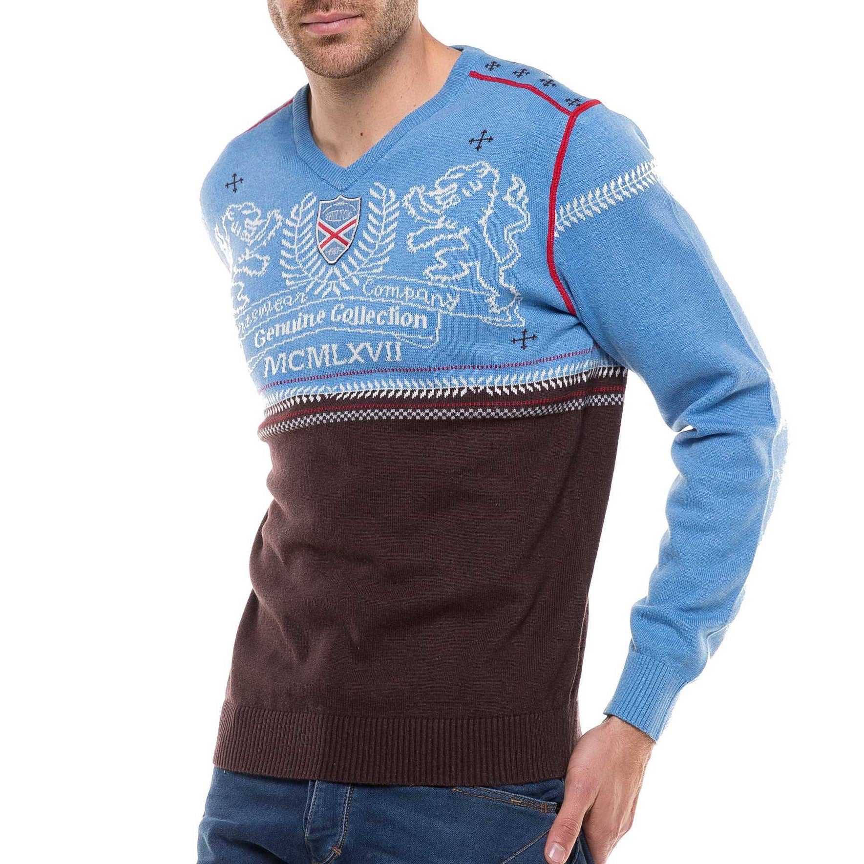 Lions V-neck sweater