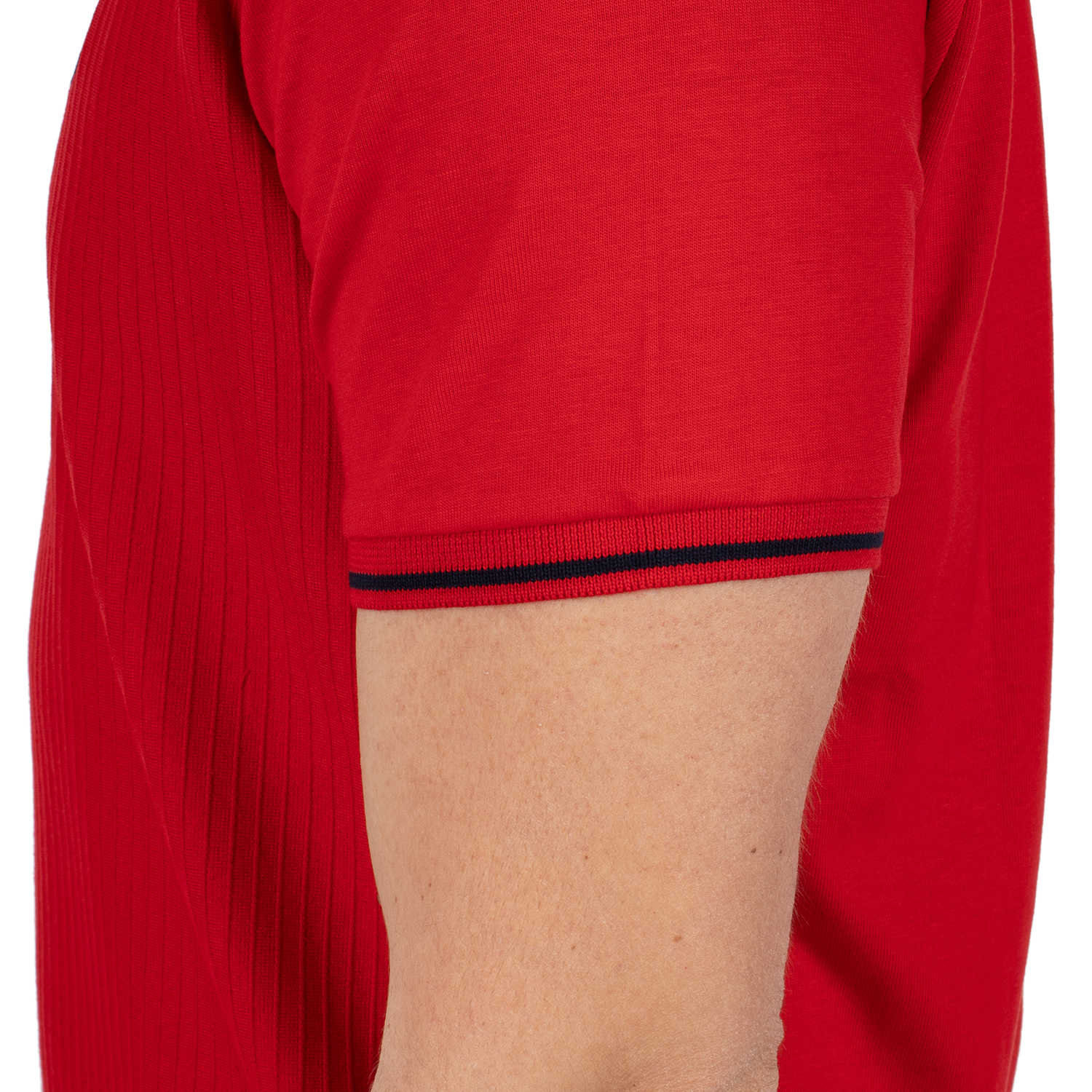 Polo pinna