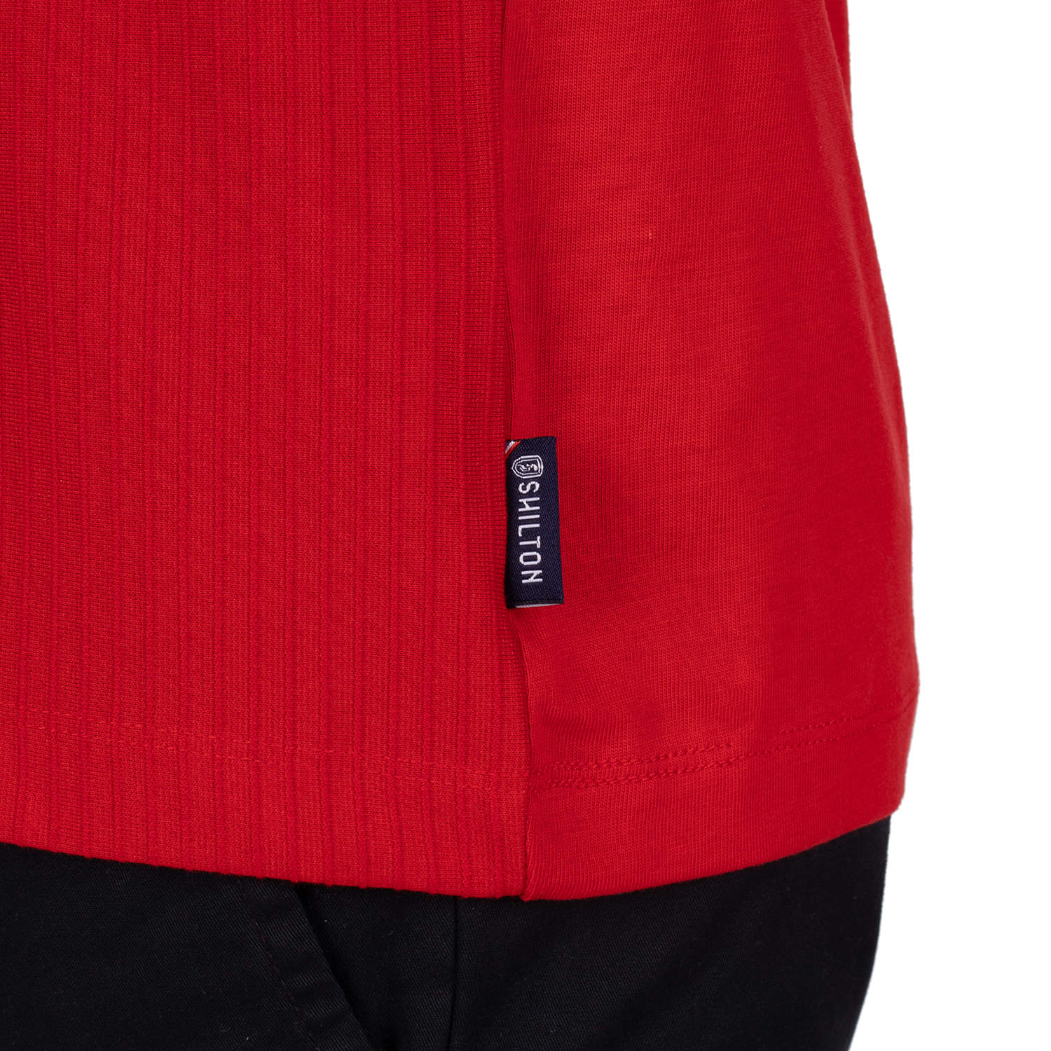 Polo pinna