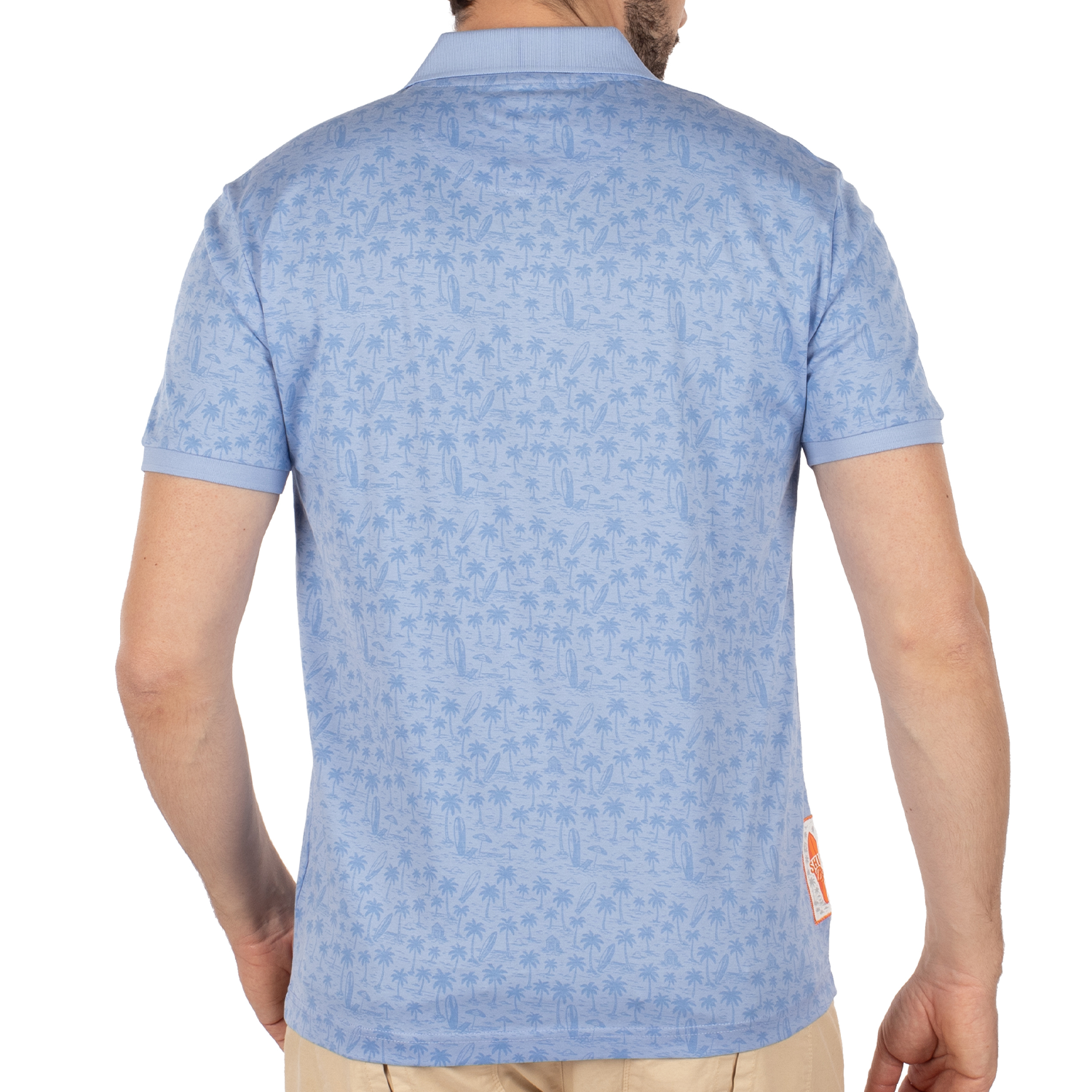 Polo atlantide