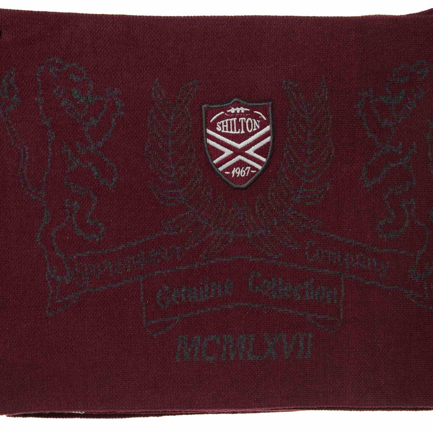 Lions scarf