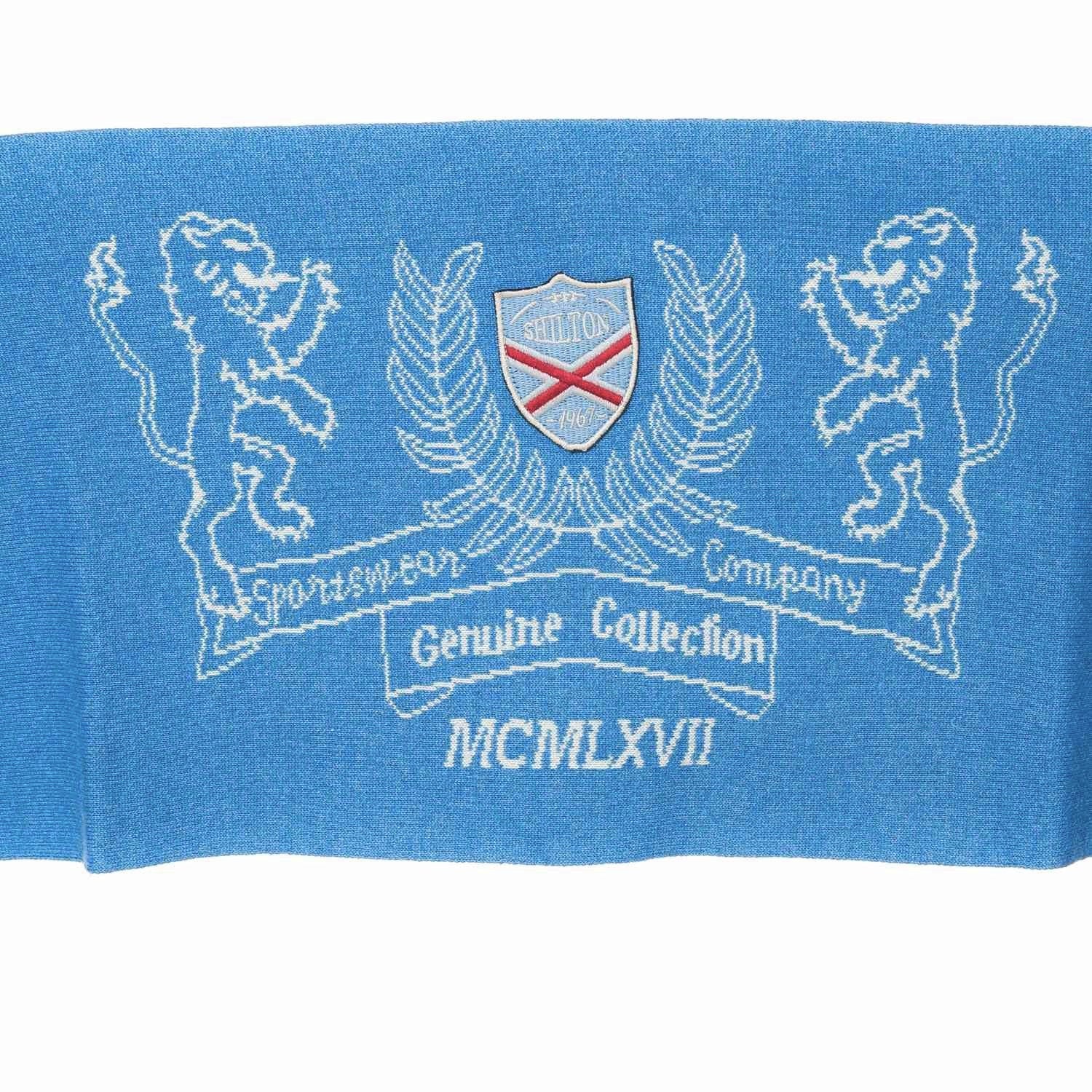 Lions scarf