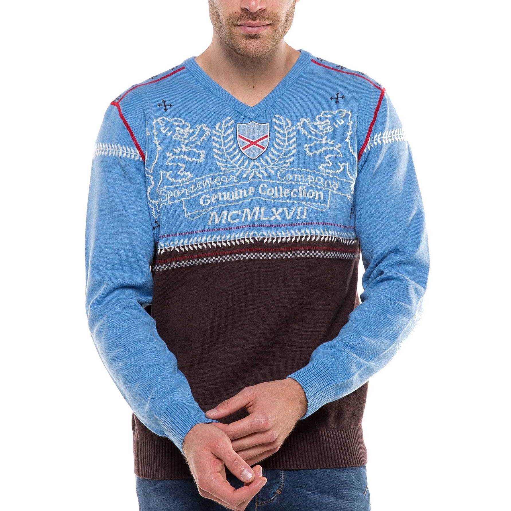 Lions Sky V-Neck Sweater - Shilton