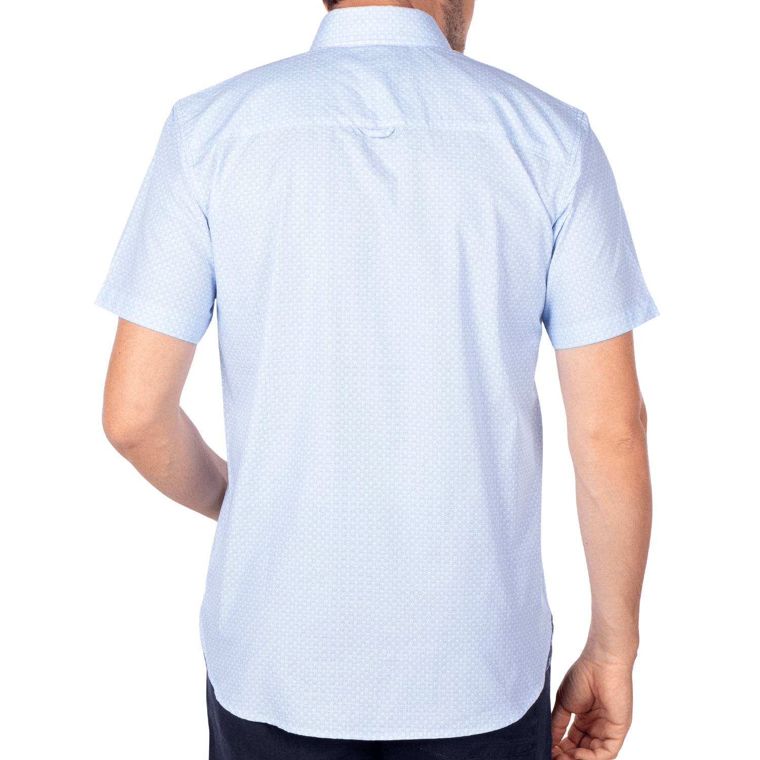 Class 67 Ciel shirt - back view - Shilton