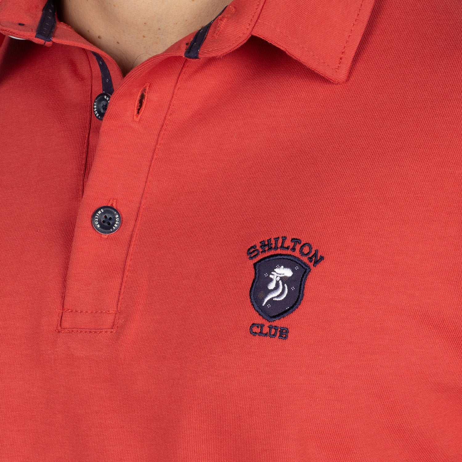 Basic ayers rock polo shirt